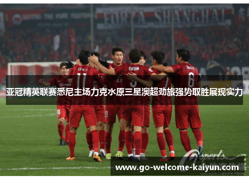 亚冠精英联赛悉尼主场力克水原三星澳超劲旅强势取胜展现实力 亚冠精英联赛悉尼主场力克水原三星澳超劲旅强势取胜展现实力